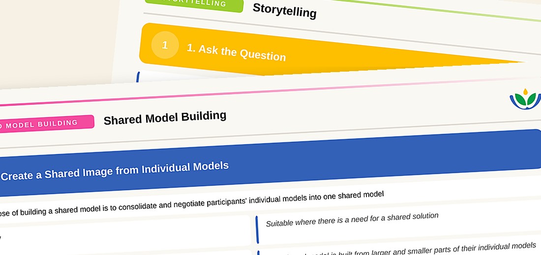 LSP Facilitator Manual pages